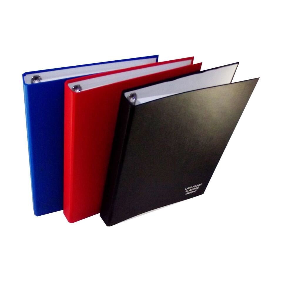 Özkan Cari Hesap Klasörü Yedekli Küçük