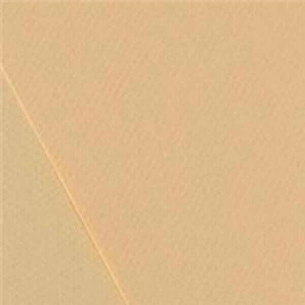 Alex Fon Kartonu Artist 50x70 Cm 220 Gr Kum Rengi