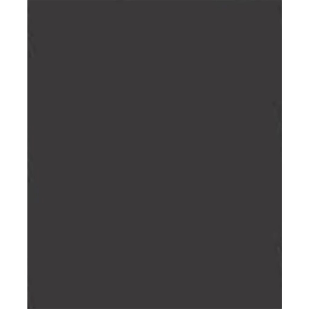 Alex Fon Kartonu Artist 50x70 Cm 220 Gr Füme