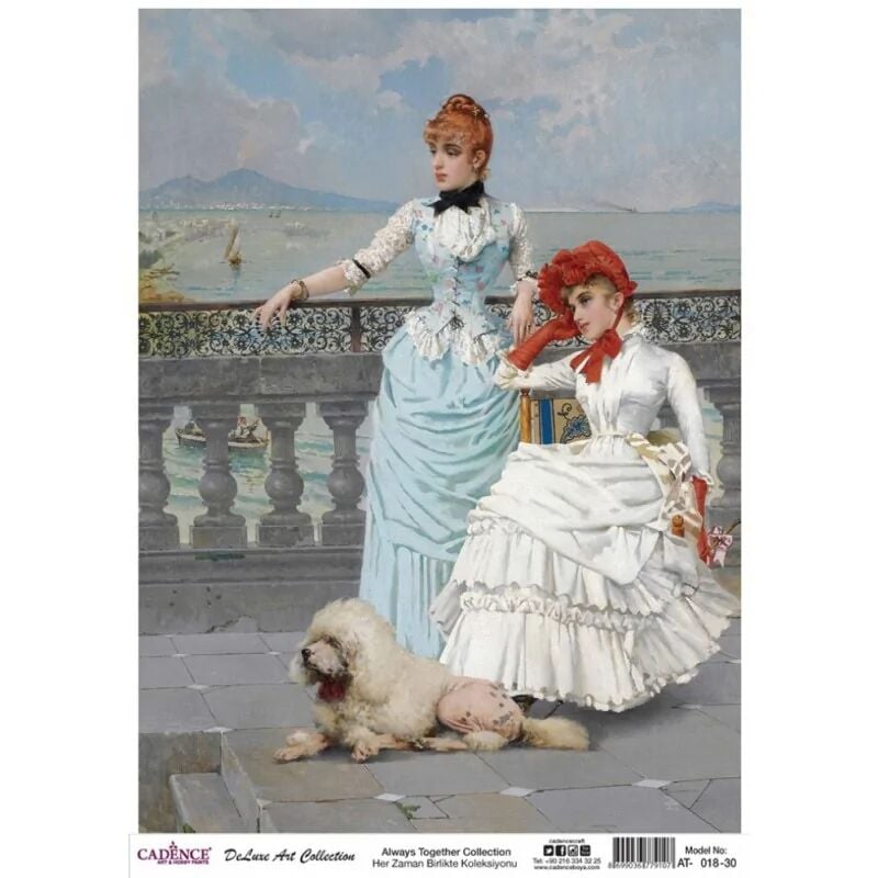 Cadence Her Zaman Birlikte Koleksiyonu At-18 30x42 Cm