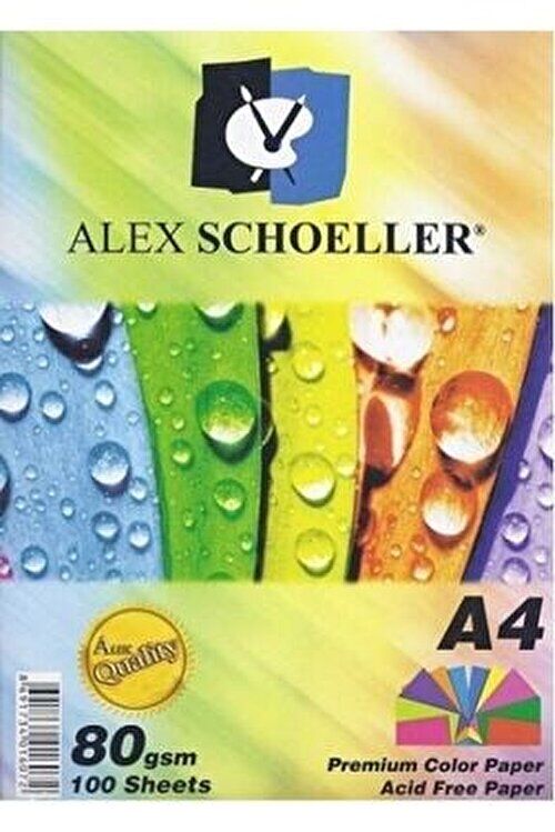 Alex Fotokopi Kağıdı 10 Renk A4 100 Lü Karışık Alx-779