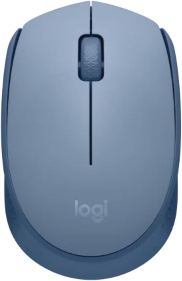 Logitech 910-006866 M171 Kablosuz Mavi Mouse