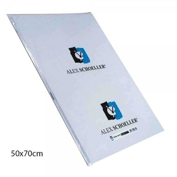 Alex Amerikan Bristol Kartonu 50x70 Cm 210 Gr