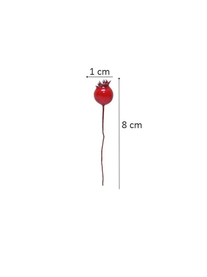 Astaş Telli Berry 16 Li