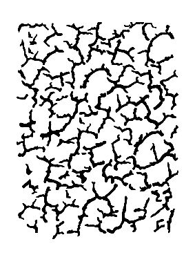 Cadence A4 Serisi Stencil As538 21X29