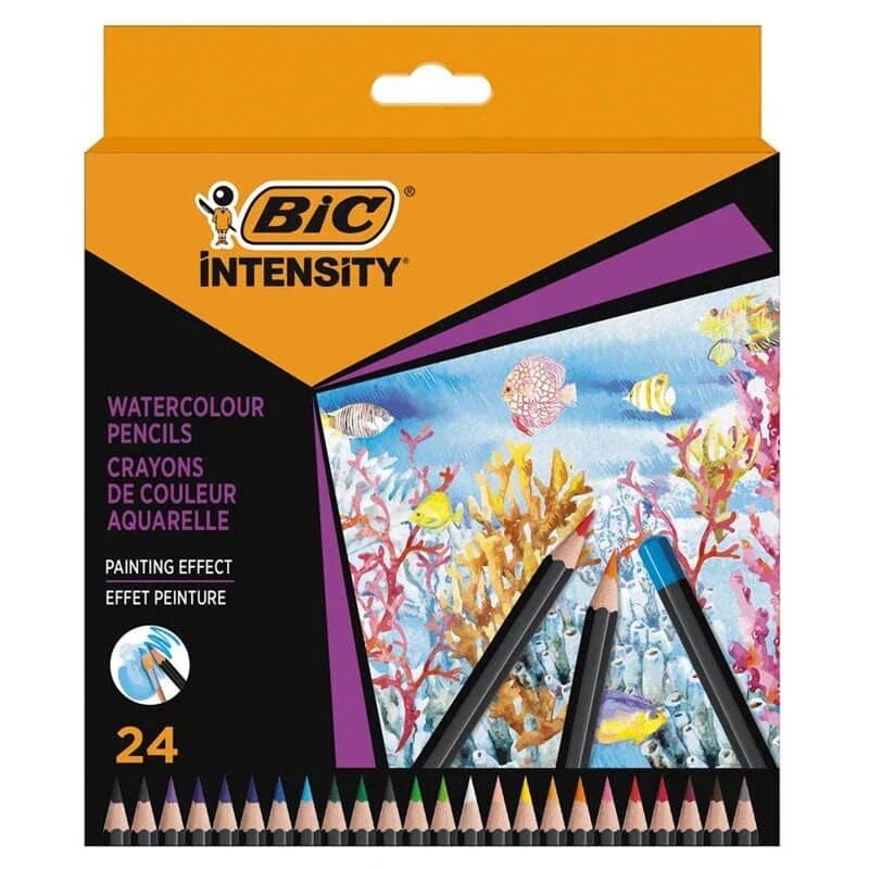 Bic İntensity Kuru Sulu Boya 24 Lü