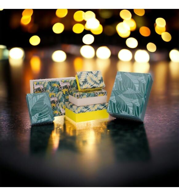 Gıpta Tropical Dikdörtgen Kutu No 2