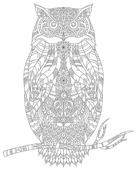 Artdeco Desenli Tuvaller Hayvanlar 40x50 Cm Baykuş