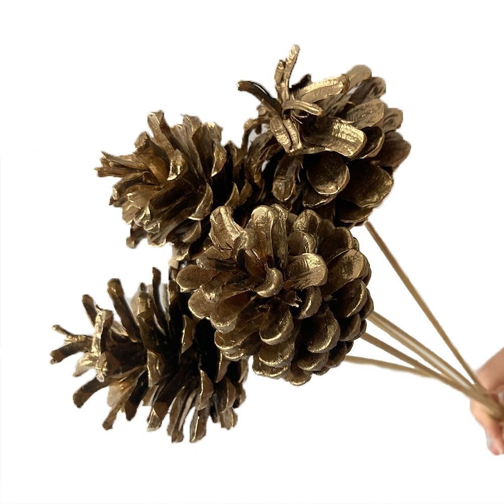 Astaş Kozalak Altın Çubuklu 5 Li