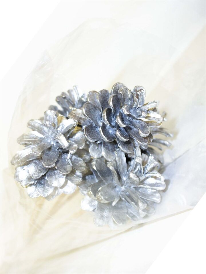 Astaş Kozalak Gümüş Çubuklu 5 Li