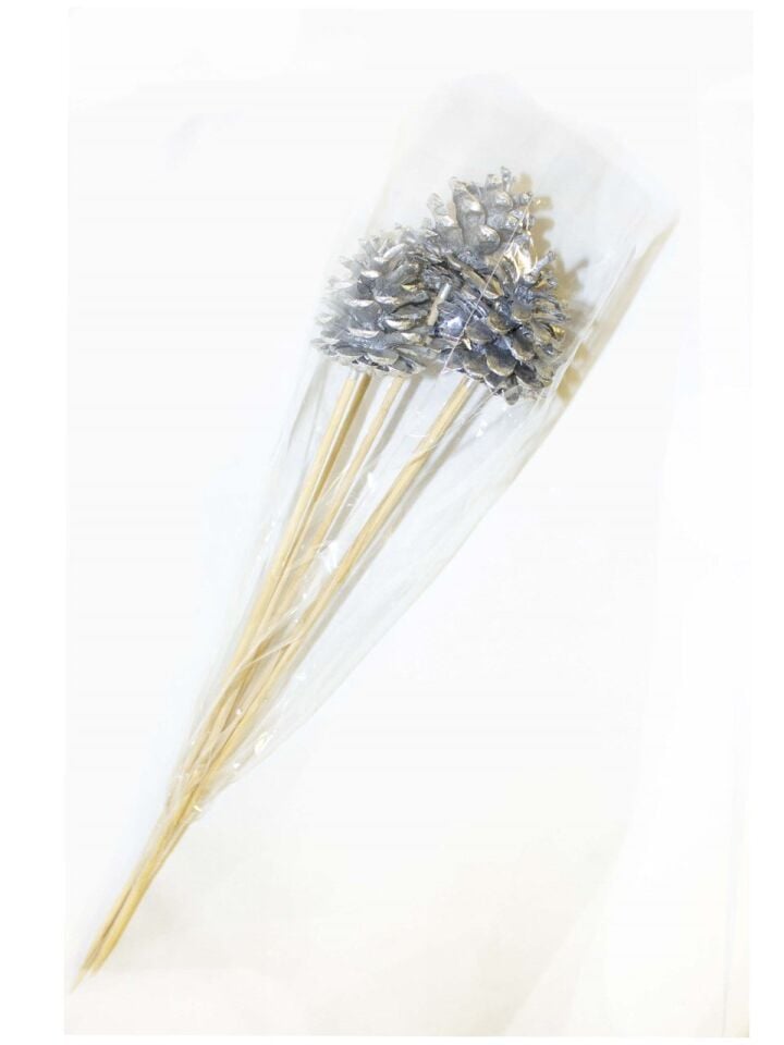 Astaş Kozalak Gümüş Çubuklu 5 Li