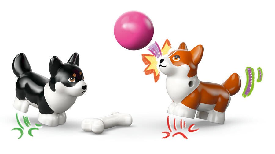 Lego Sörfçü Köpekler 