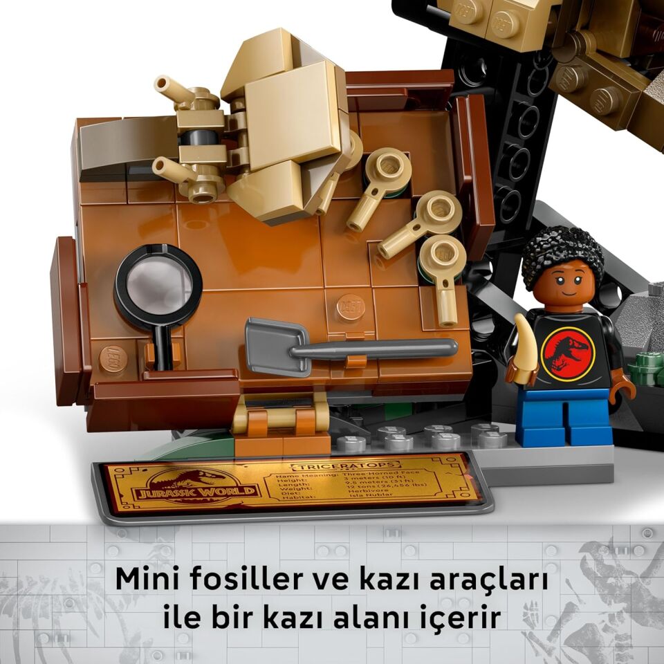 Fosil Triceratops Kafatası