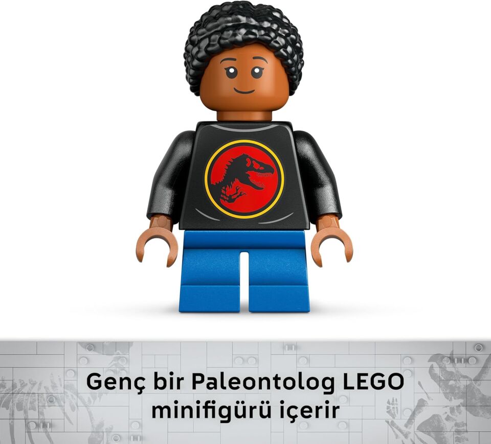 Fosil Triceratops Kafatası