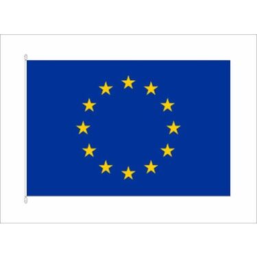Buket 15x22,5 Cm Avrupa Topluluğu Bayrağı