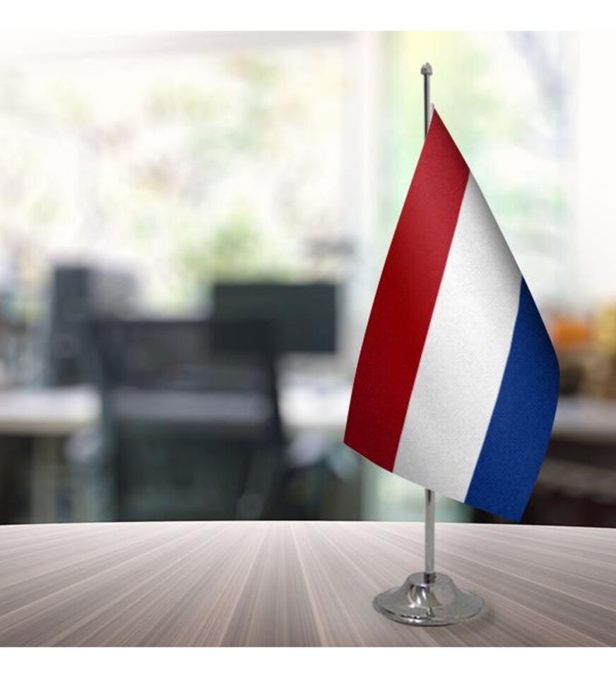 Buket 15x22,5 Cm Hollanda Bayrağı