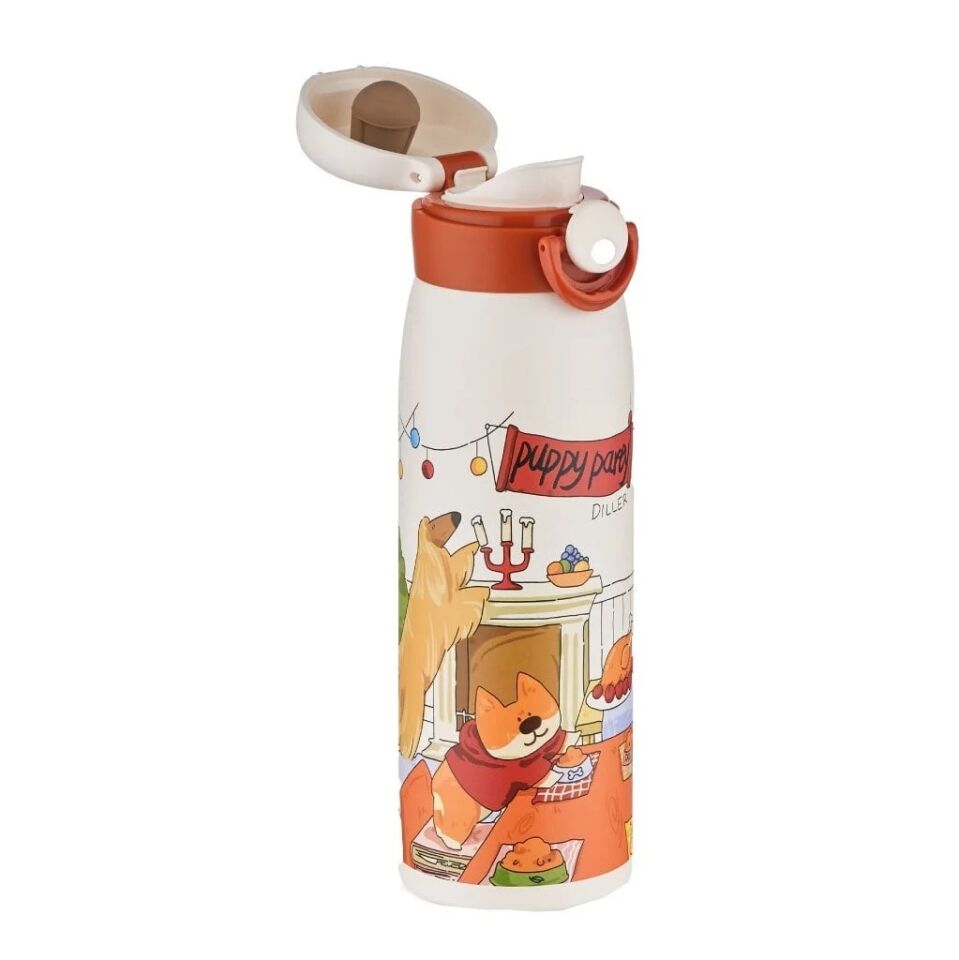 Diller 480 Ml Paslanmaz Çelik Termos