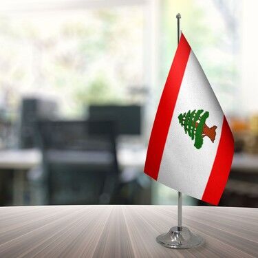 Buket 15x22,5 Cm Lübnan Bayrağı