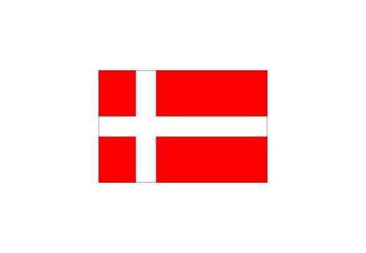 Buket 30x45 Cm Danimarka Bayrağı