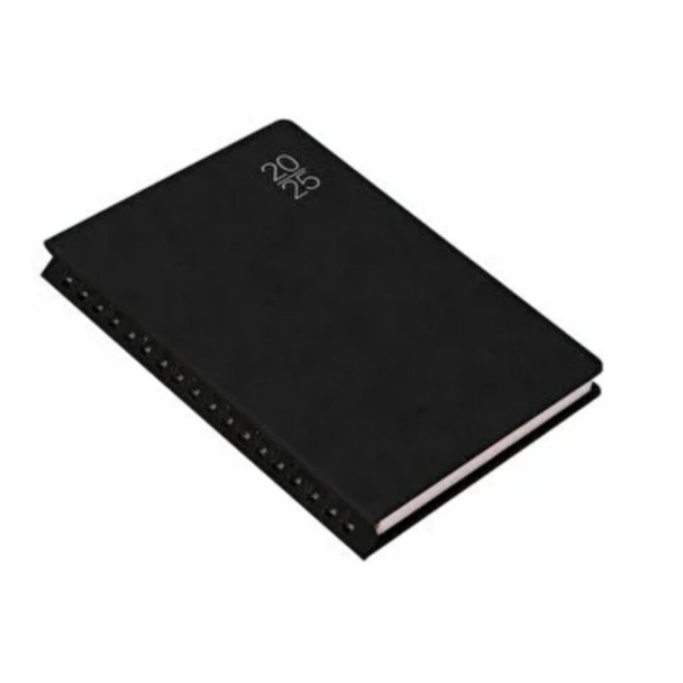 Gıpta 209-Fsk Fox Diary 17x24 Günlük Ajanda