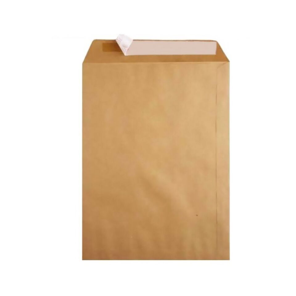 Oyal Torba Zarf 24x32 Natura 100 Gr 250 Li