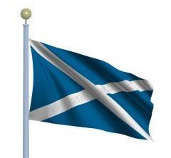 Buket 30x45 Cm İskoçya Bayrağı