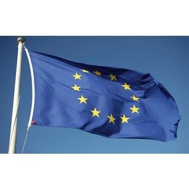 Buket 50x75 Cm Avrupa Topluluğu Bayrağı