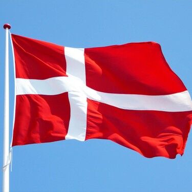 Buket 50x75 Cm Danimarka Bayrağı