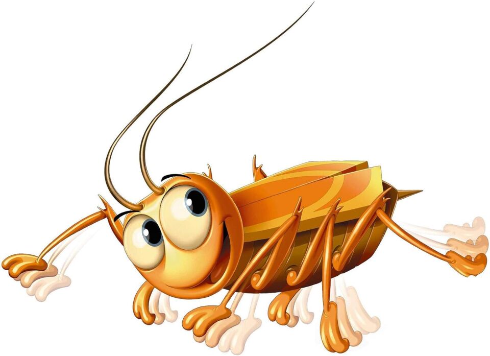 Ravensburger Puzzle Bay Böcek Firarda 4 Kutu Oyunu