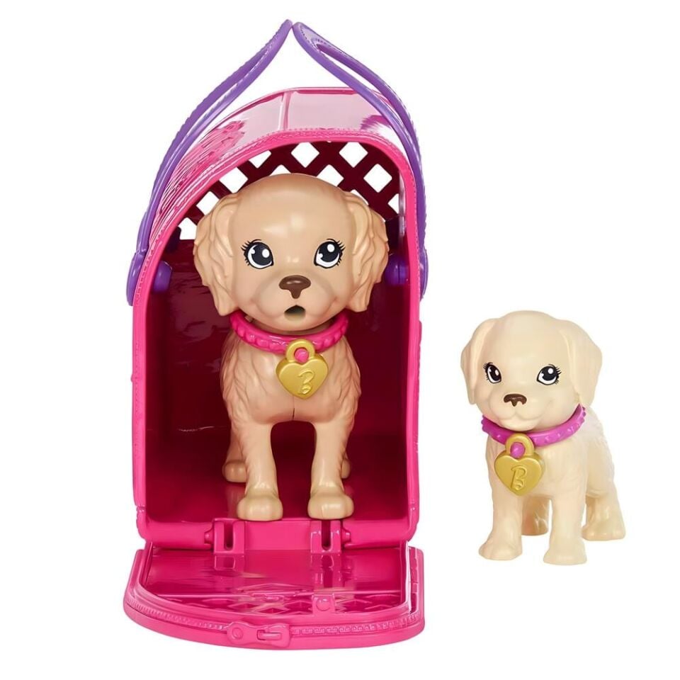 Barbie Ve Köpekcikleri Oyun Seti