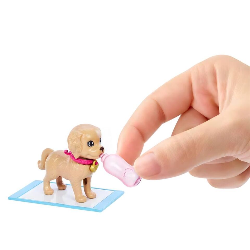 Barbie Ve Köpekcikleri Oyun Seti