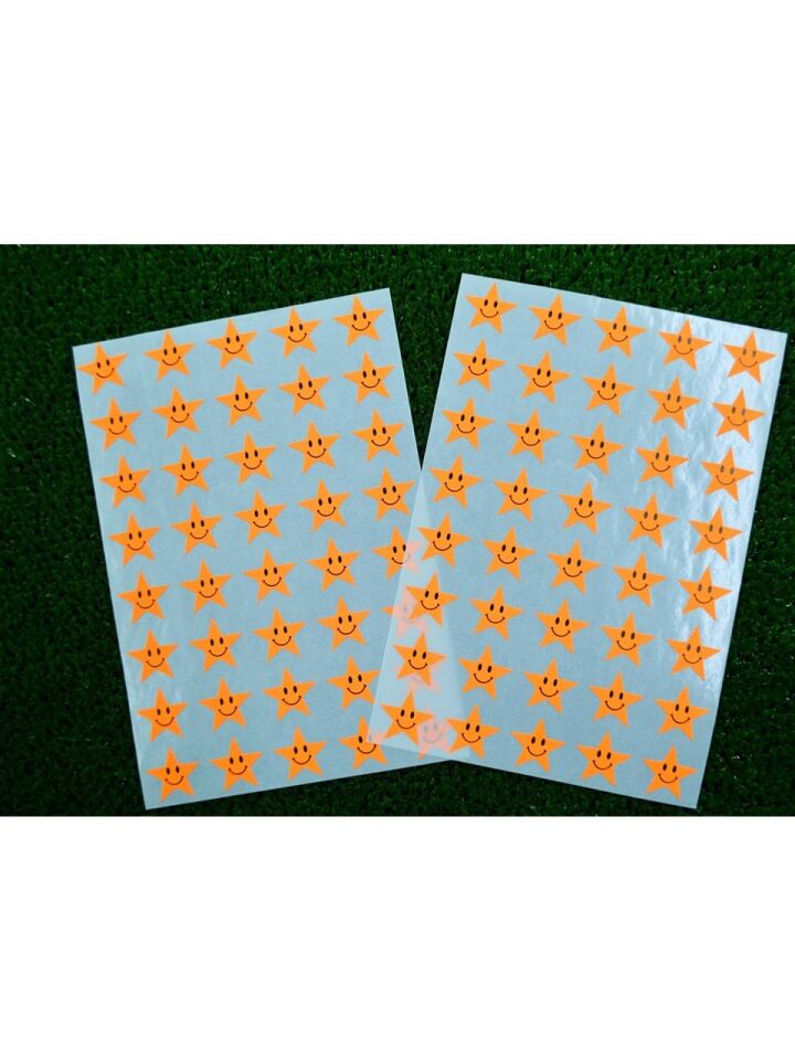 Tanex Tnx-305 17 Mm Flo Turuncu Gülen Yıldız Etiketi 2 Ad