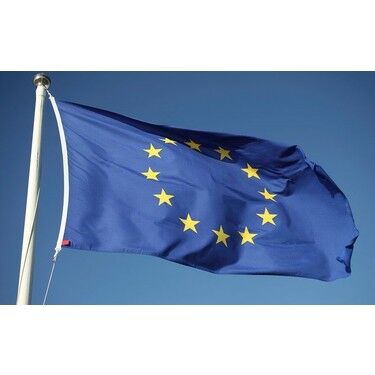 Buket 70x105 Cm Avrupa Topluluğu Bayrağı