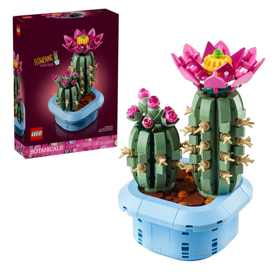 Lego Çiçeklı Kaktus