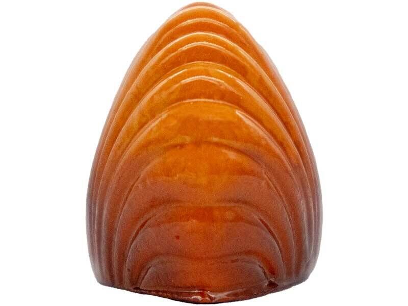 Kmy Küçük İstiridye Silikon Mum Kalıbı M-74