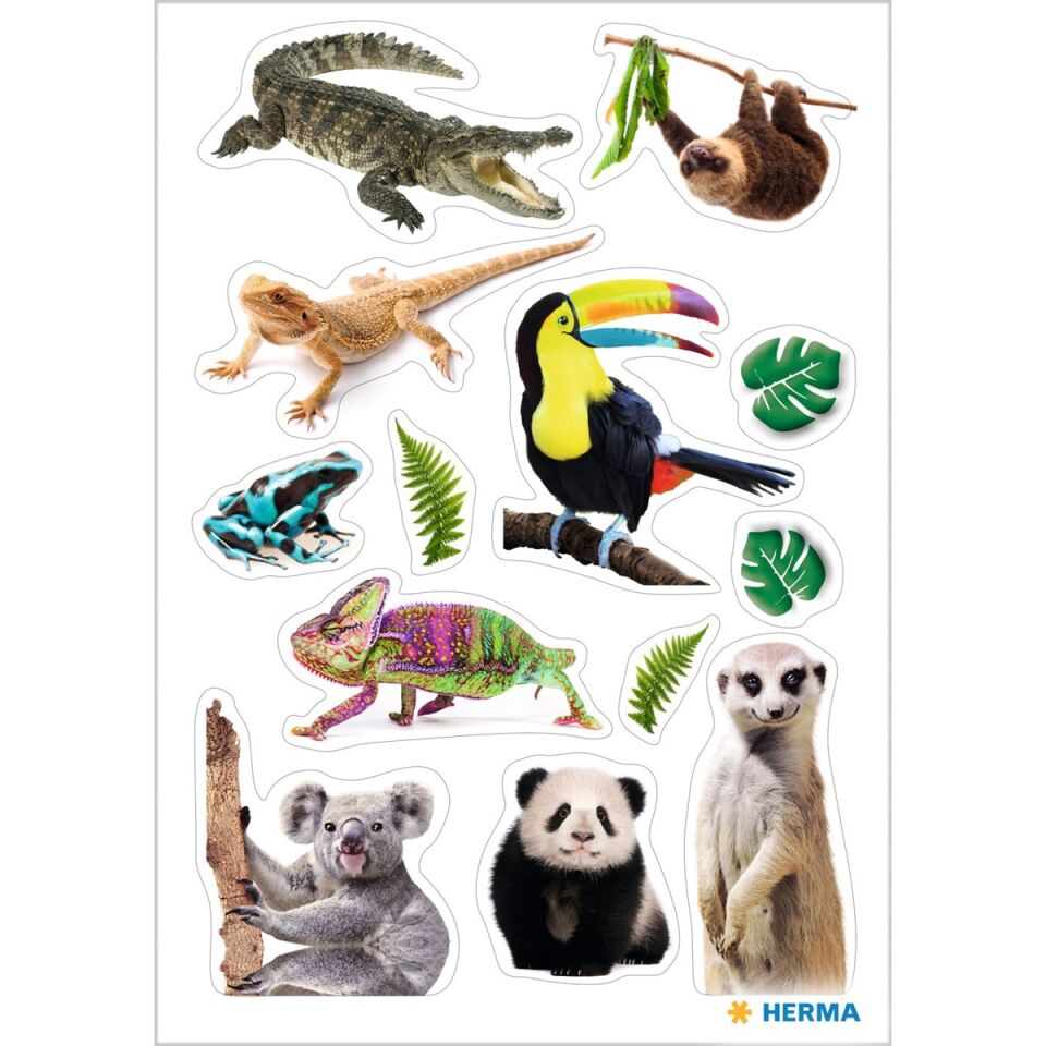 Herma Decor Etiket Eksotik Hayvanları