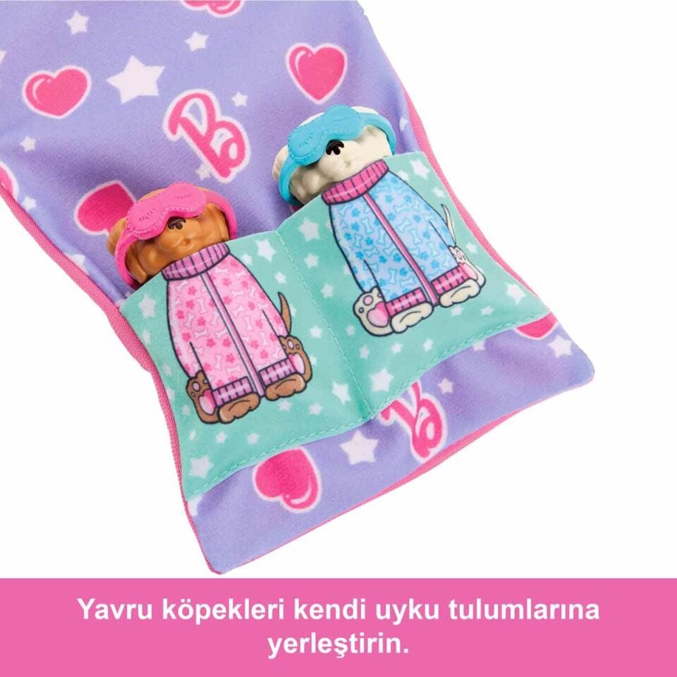 Barbie Ve Köpekçikleri Pijama Partisi