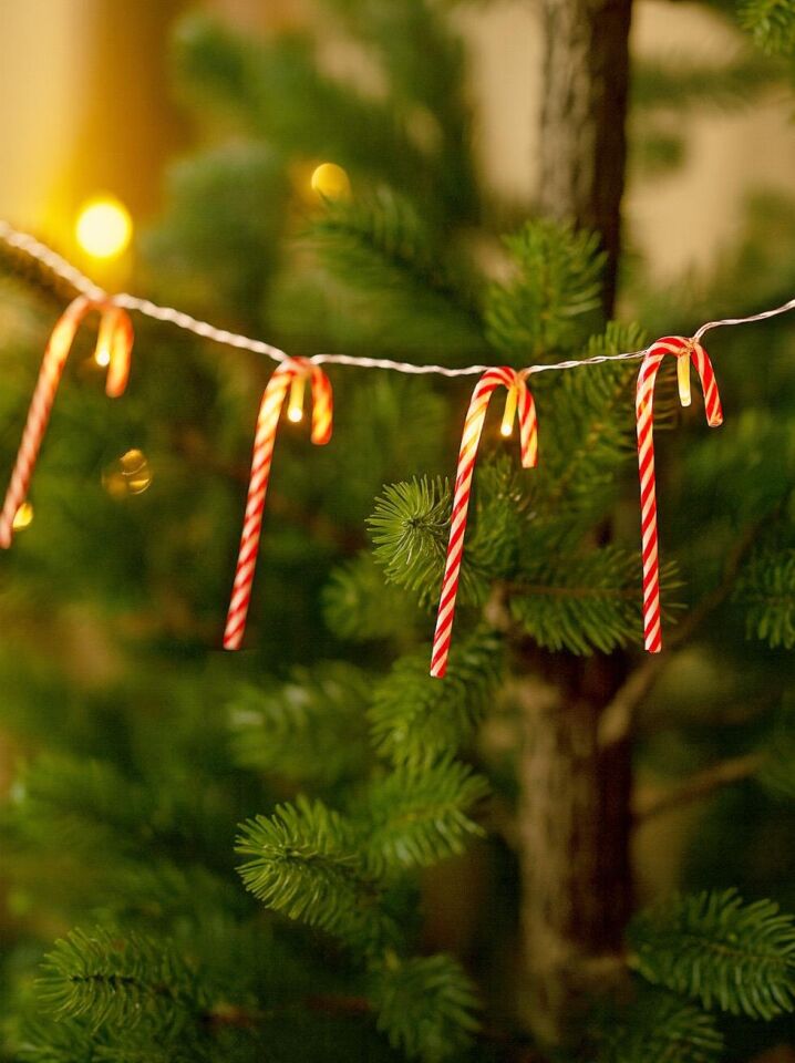 Astaş Baston Seker Led Zincir 170 Cm 10 Ledli Gk62918