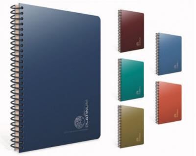Gıpta Platinum Spiralli Pp Kapak Defter A4 100 Yaprak Kareli