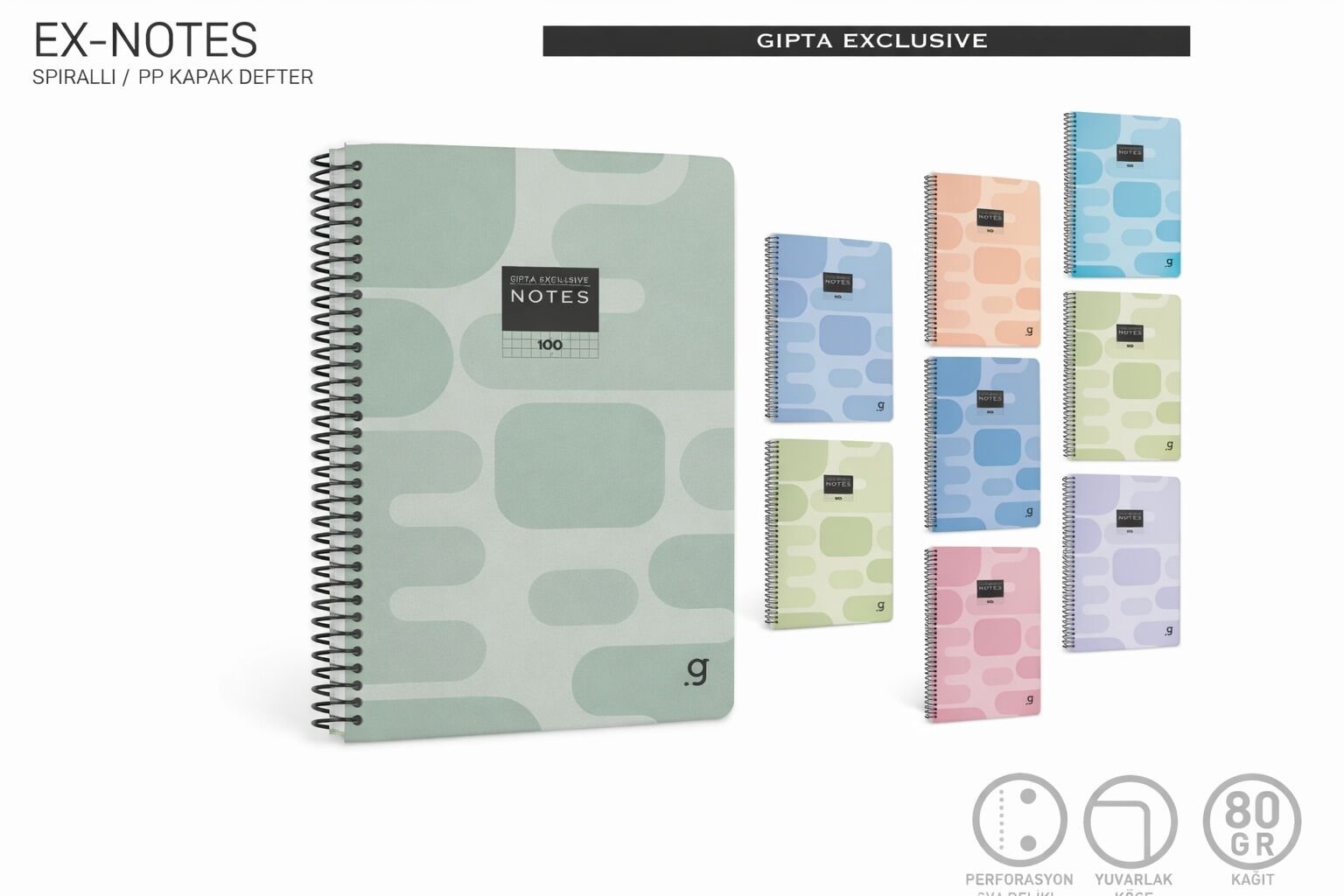 Gıpta Ex Notes Spiralli Pp Kapak Defter A4 80 Yaprak Kareli