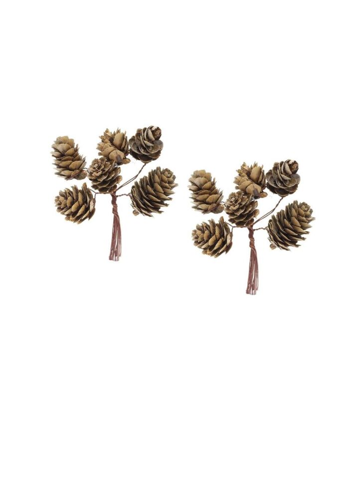 Astaş Telli Kozalak 12 Li