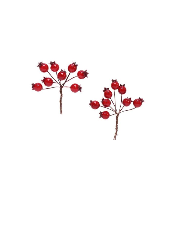 Astaş Telli Berry 16 Li