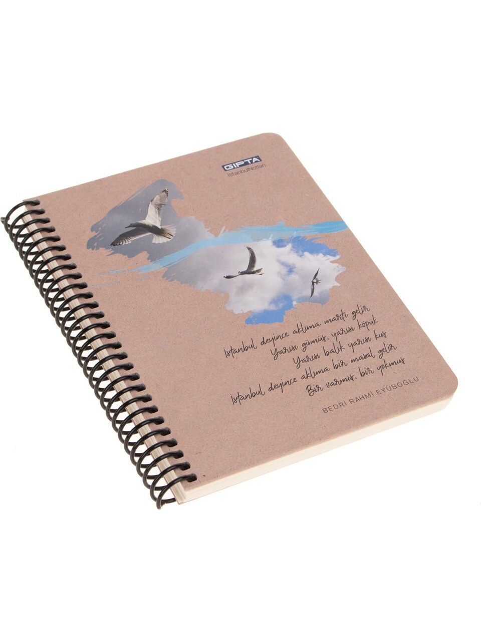 Gıpta İstanbul Notları Spiralli Sert Kapak Defter 13X18 120 Yaprak Çizgili