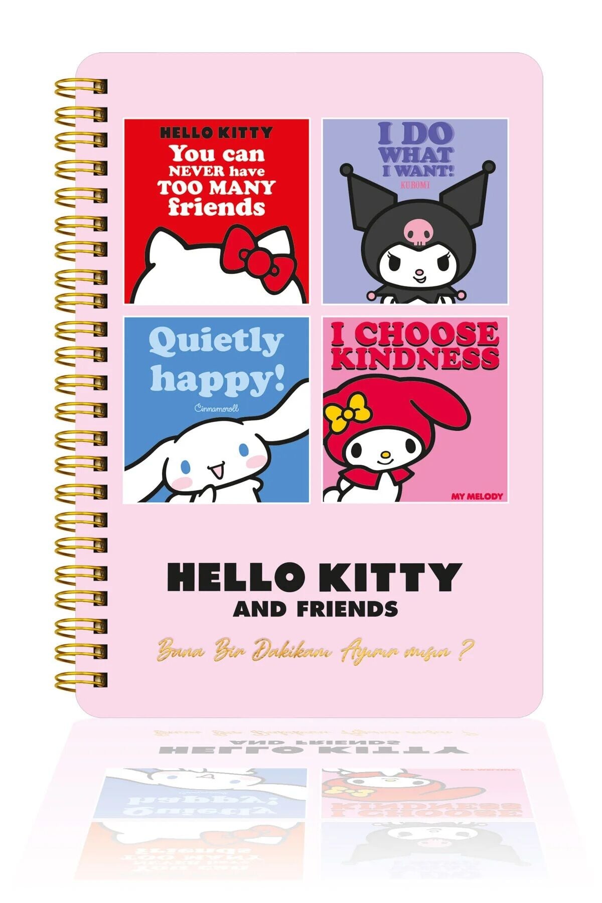 Victorias Journals Hello Kitty Journal Günlük