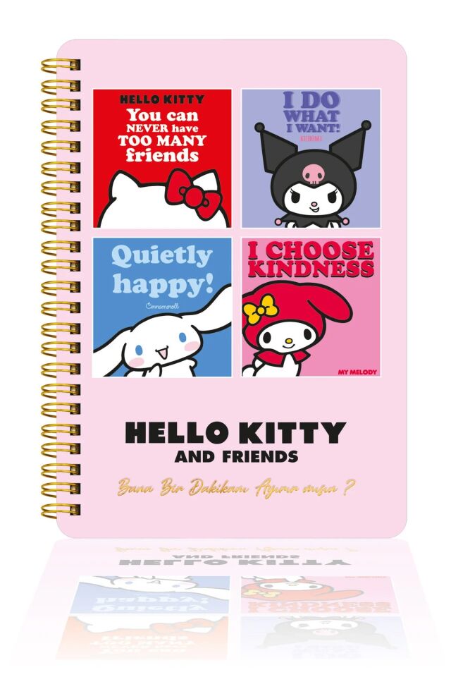 Victorias Journals Hello Kitty Journal Günlük