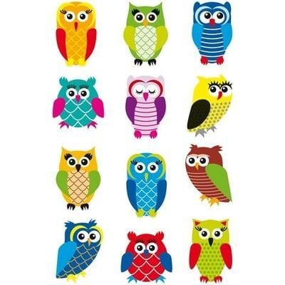 Herma Magic Etiket Glittery Foil Sevimli Baykuşlar