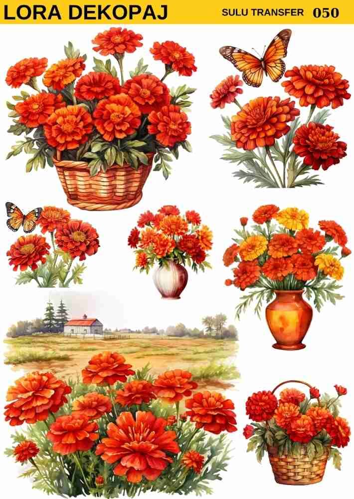 Lora s050 Sulu Transfer