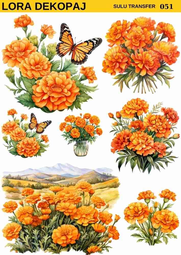 Lora s051 Sulu Transfer