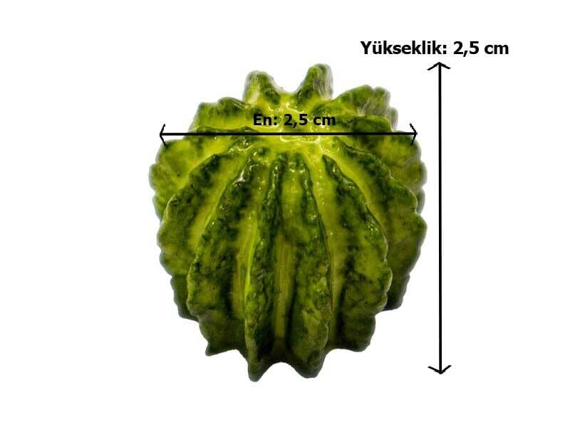 Kmy Mini Kaktüs Silikon Kalıbı Khk219