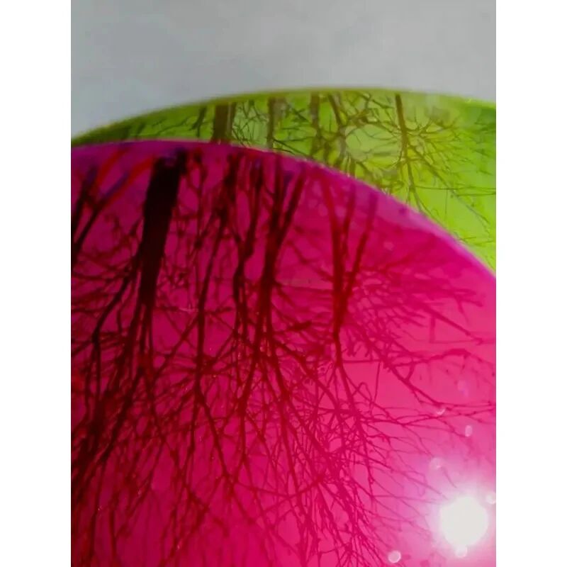 Cadence Mirror Festival Cam Boyası Mf-07 Fuşya 50 Ml